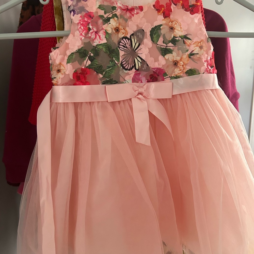 Bonnie Baby Pink Floral Dress with Butterfly Accent